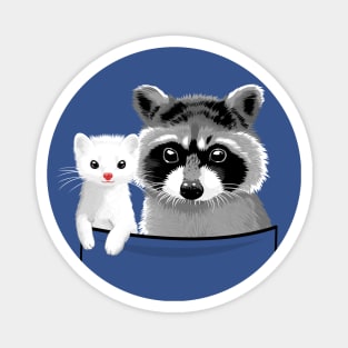 Raccoon and ferret in pocket Magnet